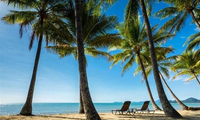 Palm Cove Hotel | Palm Cove Studio Apartments