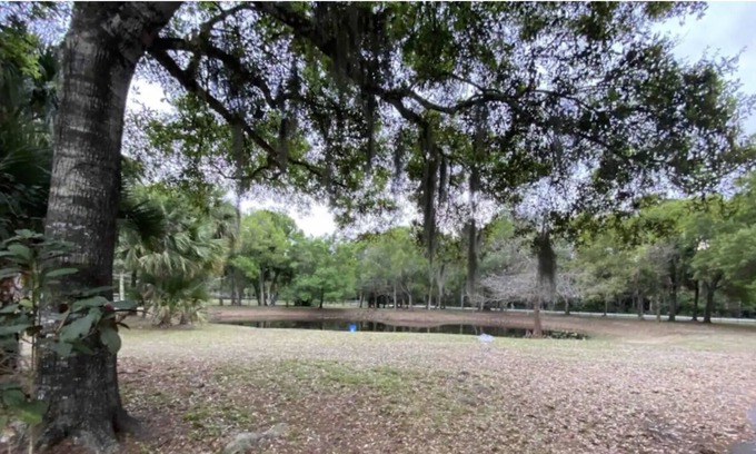 Palm City Casa | Palm Retreat Estate - Main house & Guest House - Pool, hot tubs, game room