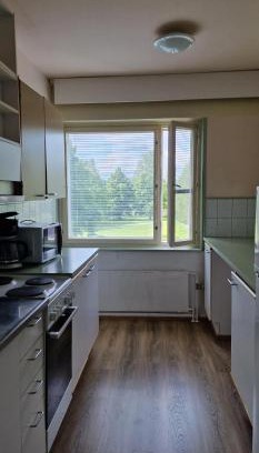 Leppavirta Apartamento | Pankkikallio