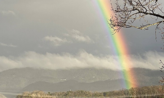 Bean Station Condominio | Paradise Found