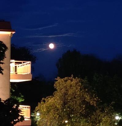 Savonlinna Apartamento | Parvekkeellinen huoneisto rantabulevardilla, 1-4 hengelle