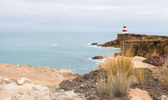 Waterhouse Casa | Lugar de Paula 8 Ti un árbol cerca de Robe
