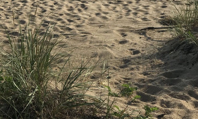 Ocqueoc Township Cabaña | Peaceful cottage with a beautiful lake view.