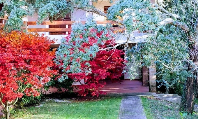 Fragoso Casa | Casa de vacaciones cerca de Esposende y Viana do Castelo