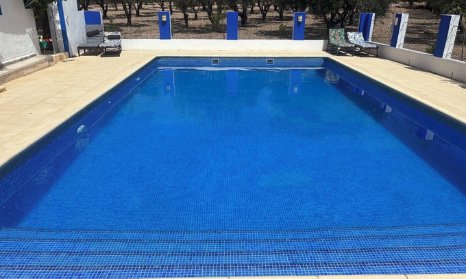 Sax Villa | PAÍS PACÍFICO VILLA SAX ALICANTE. RODEADO DE OLIVOS Y ÁRBOLES FRUTALES.