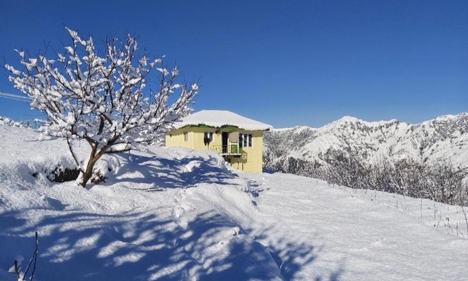 Shilla Casa | Peach Villa Farm Stay