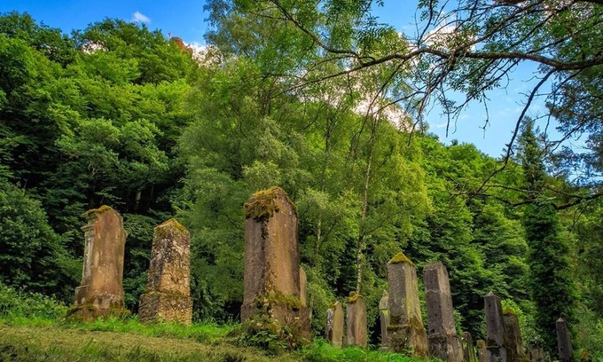 Brodenbach Hotel | Pension Haus am Walde