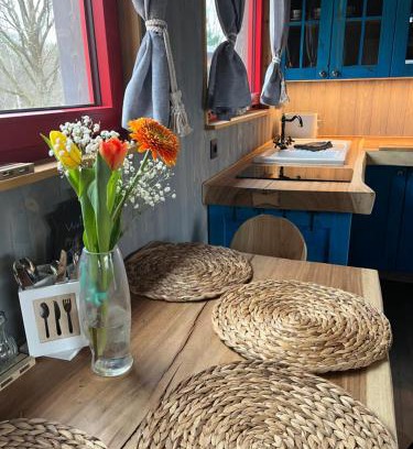 Cheb Casa | Pension U Stříbrného Jelena - Tiny House