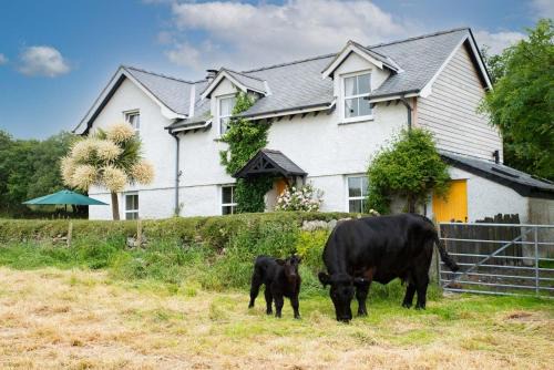 Brynrefail Casa | Perthi-Uchaf