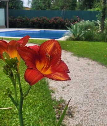 La Lonja Apartamento | Pilar Norte. Departamentos