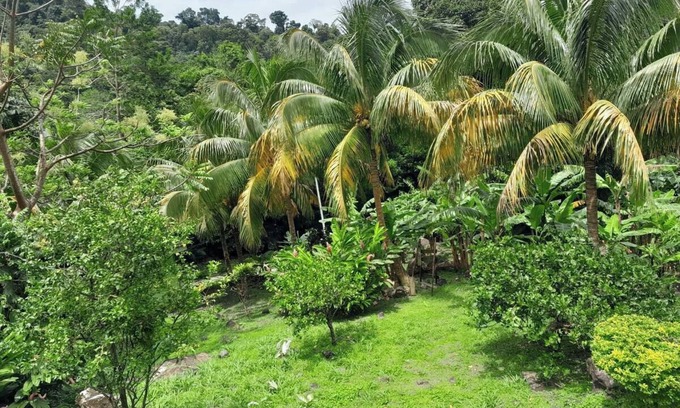 Pointe Michel Complejo | Pinard's Mountain Resort - Cottage 5