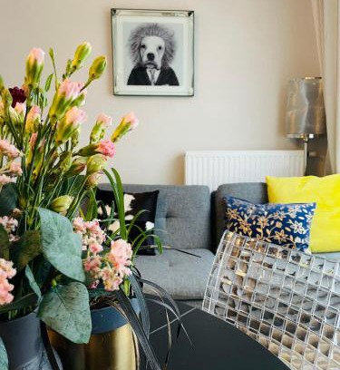 Jezyce Apartamento | PIPER Gold TARGI