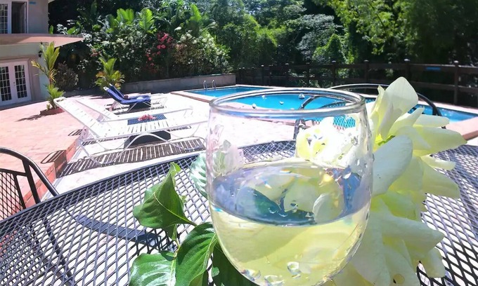 Soufriere Apartamento | Poolside Waterfall Apartment