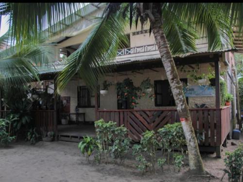 Bahia Solano Casa | Posada Las Palmeras