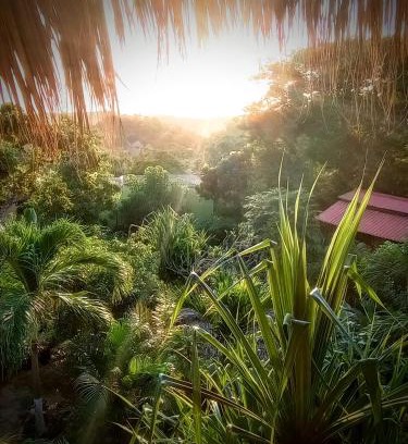 San Agustinillo Hotel | Posada Olivo