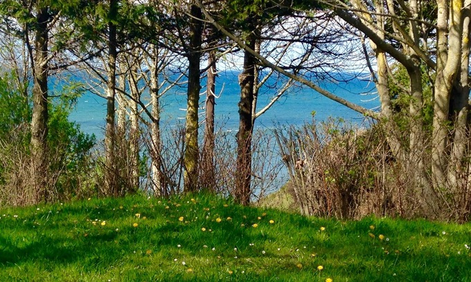 Port Angeles Casa | Hen House tiene capacidad para 3 personas con senderos únicos en el lugar y sendero de playa pvt