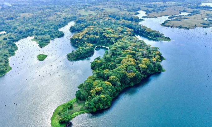Colon Villa | Private Tropical Paradise, amazing pool view and nature experience