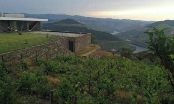 Bomfim Villa | Quinta Vale das Papas, Vineyard House at Douro Valley