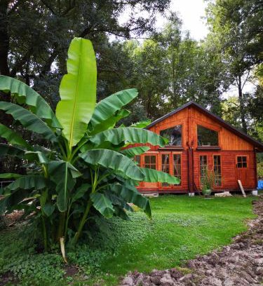 Blatna Polianka Complejo | Ranč Nová Zem