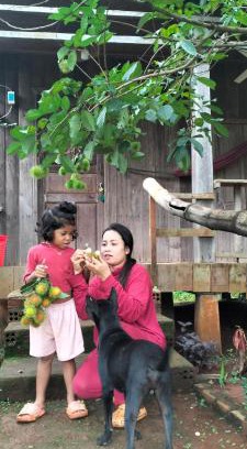Ban Lung Cabina | Ratanakiri Farmhouse & Trekking
