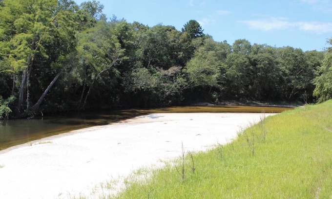 Perkinston Casa | Red Creek Getaway 2 houses on 500 acres, with hot tub and access to 5 sandbars!