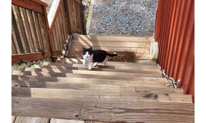 Manchester Otro | Red Dog Farm South Oak - 2 bedroom barn apartment.