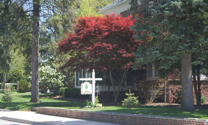 Red Lion Cama Y Desayuno | Red Lion Bed & Breakfast