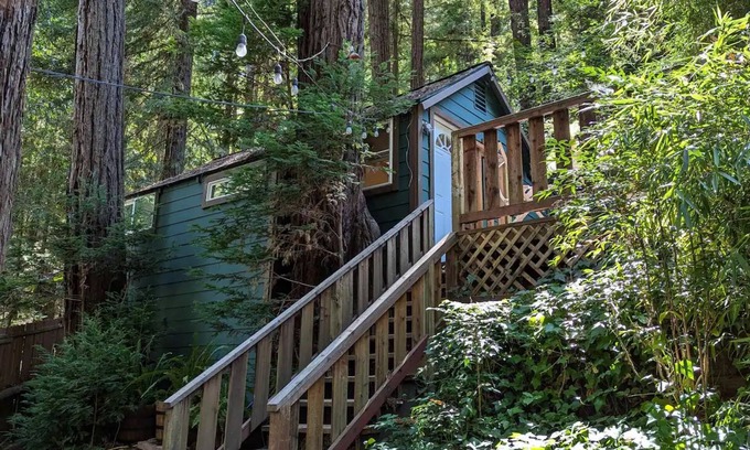 Guerneville Cabaña | Redwood Treehouse-2 beds 1.5 bath-full kitchen-2 outdoor areas-work station WiFi