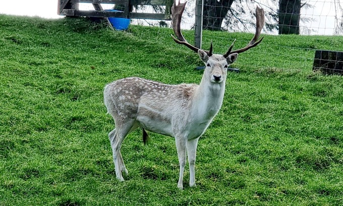 Taranaki Apartamento | Relax at Stagga Arcadia, tranquil 1 bedroom suite on rural farmlet with spa