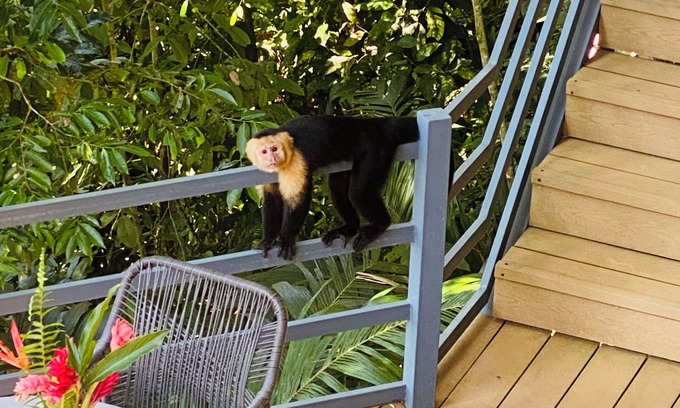 Ojochal Cama Y Desayuno | Relaxed, unplugged, Costa Rican-style comfort with a beach access