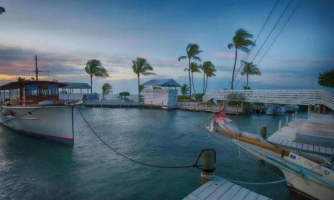 Upper Matecumbe Key Apartamento | Relaxing Garden Suite With Pool @Islamorada- Sea Turtle Suite