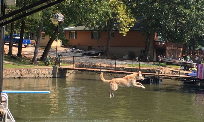 Climax Springs Casa | Relaxing pet friendly lake front home with large swim dock with 24' boat slip