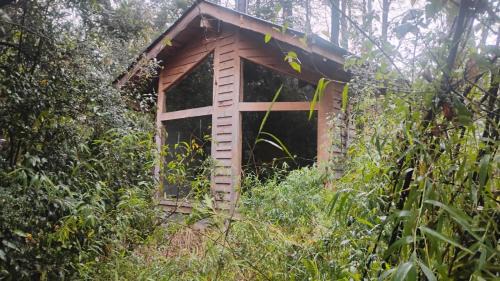 Pucon Cabina | Reserva Nido del Chucao