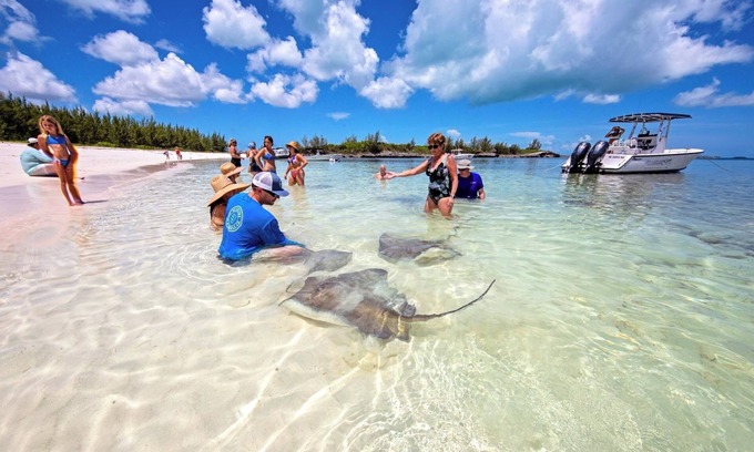Treasure Cay Complejo | Justo en la playa y hermoso - ¡Séptima noche GRATIS!