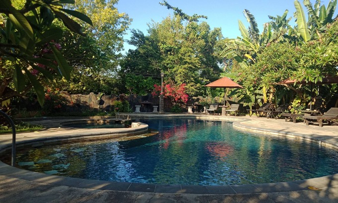 Lovina Cama Y Desayuno | Rini Hotel