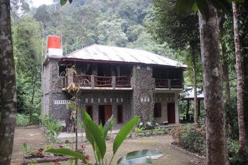 Bohorok Villa | Rinte Green Village & Bukit Lawang Jungle Trekking
