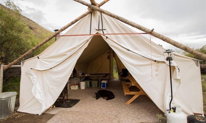 Custer County Cabina | Campo de Rocky Mountain Elk