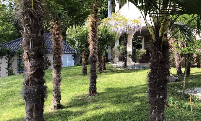 Kressbronn Complejo | Romantic villas right next to Schlössle Park, 2 minutes' walk to the beach