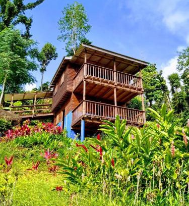 Marigot Cabina | Roots Jungle Retreat