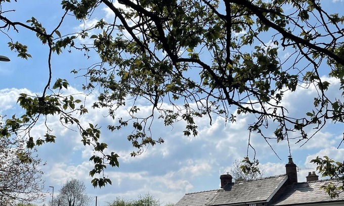 Llanvihangel Crucorney Casa | ROSE COTTAGE, family friendly, with open fire in Abergavenny