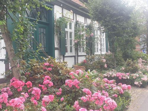 Halle Cama Y Desayuno | Rosindell cottage