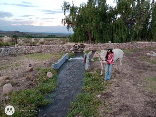 Tunuyán Chalet De Esquí | Ruedas Negras Casa de Campo