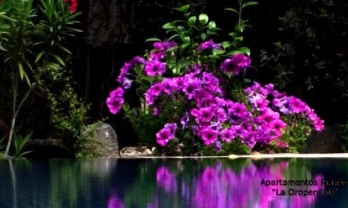 Jaraíz de la Vera Cabaña | Apartamento rural La Oropéndola para 2 personas