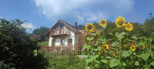Zawoja Chalet De Esquí | Słoneczna Chałupka