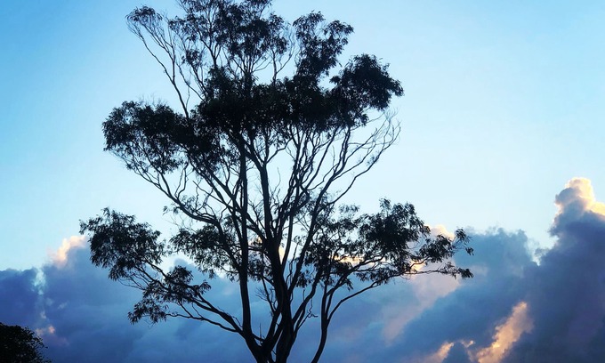 Kiama Casa | Saint Cloud Retreat - Un sereno pedazo de cielo - Descanso y restauración rejuvenecer
