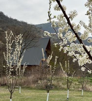 Kvemo Kartli Chalet De Esquí | Samshvilde Hideaway