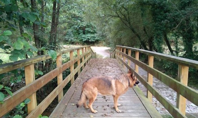 Valdés Cabaña | Casa Ramón de María. PISCINA CLIMATIZADA. Jardín. Barbacoa. Fisioterapia. Huerta