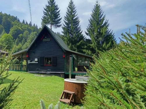 Lunca Bradului Chalet De Esquí | Schwarz Kabin