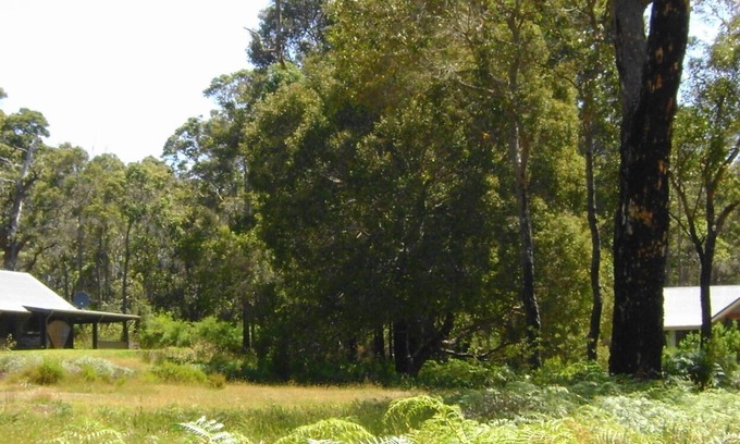 Scotsdale Cabaña | Scotsdale Valley Studios