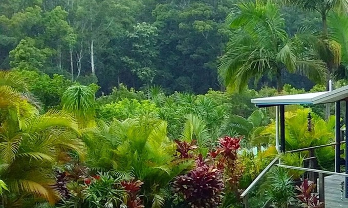 Way Way Casa | Retiro de Scotts Head - Scotts Head